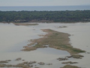 Λιμνοθάλασσα Πρόκοπος Δάσος Στροφυλιάς