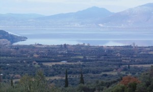 Μακρυνεία-Τριχωνίδα