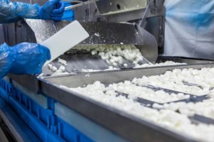 &Alpha;&Mu;&Phi;&Iota;&Gamma;&Alpha;&Lambda;