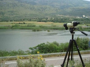 Αμβρακία (φωτο Μαμάσης Χρ. Διονύσιος M.Sc. )