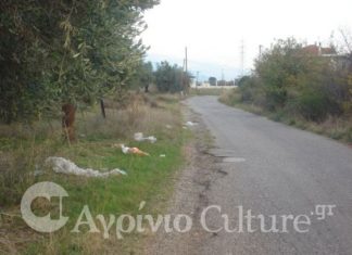 Μνημείο αδιαφορίας η κατάσταση στη Γιαννούζι