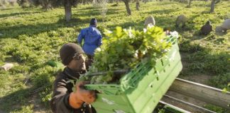 Δυτική Ελλάδα : Ποιοι περιμένουν να πάρουν σειρά για ενισχύσεις