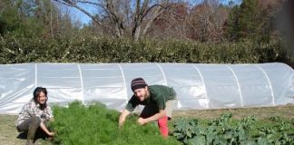 Αιτωλοακαρνανία: Πληρωμή για τη Βιολογική Γεωργία 2016