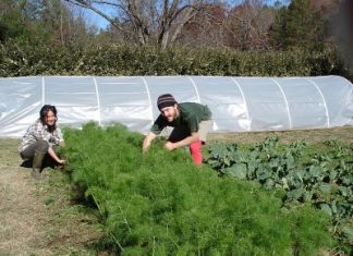 Αιτωλοακαρνανία: Πληρωμή για τη Βιολογική Γεωργία 2016