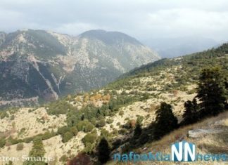 Στην τοποθεσία ιδιαίτερου φυσικού κάλους ‘’Θεοτικό’’ της Κοινότητας Δρυμώνα Θέρμου