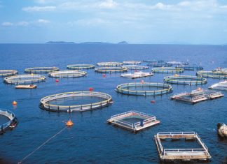 Οι πρώτες αντιδράσεις στο νέο σχεδιασμό των ιχθυοκαλλιεργειών
