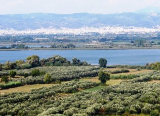 Μηνυτήρια αναφορά Μοσχολιού για απόρριψη αποβλήτων στην περιοχή της Λίμνης Λυσιμαχείας