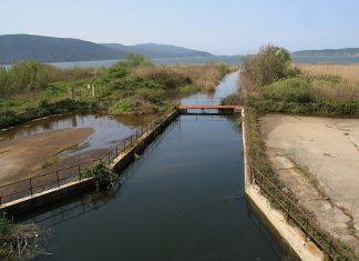 Νεκρά ψάρια στη λίμνη Βουλκαριά – Kαταγγελίες για μόλυνση της λίμνης