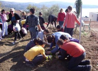 Δημοτικό σχολείο Αστακού: Σχέδιο Comenius – Ένας πράσινος κόσμος