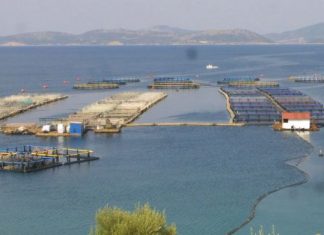 «Όχι» στο νέο χωροταξικό των ιχθυοκαλλιεργειών από το δήμο Ξηρομέρου