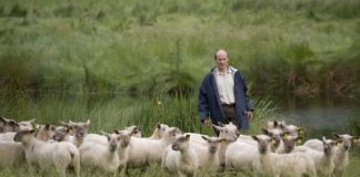 Δωρεάν εκπαίδευση νέων κτηνοτρόφων στο Αγρίνιο