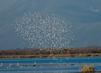 Επικριτικοί οι “Ενεργοί Πολίτες Αμβρακικού” για “ΑΝΑΣΑ” και Θάνο Μωραΐτη