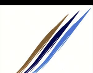 Οι υποψήφιοι του Συνδέσμου Εθνικής Ενότητας στην Αιτωλοακαρνανία