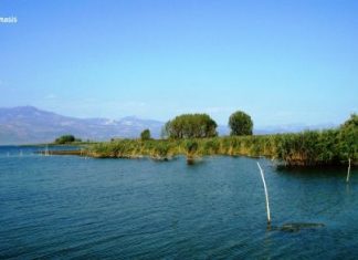 Περιβαλλοντική εκδήλωση στο 2ο δημoτικό σχολείο Αγρινίου για την Παγκόσμια Ημέρα Υγροτόπων