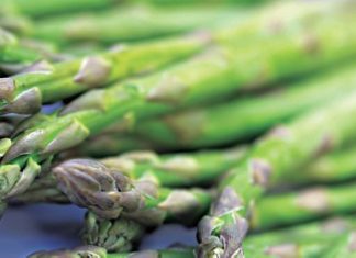 Να αλλάξει η εισήγηση του ΕΛΓΑ Αιτ/νίας για τις αποζημιώσεις περιμένουν οι σπαραγγοπαραγωγοί