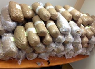 Τον έπιασαν να μεταφέρει από την «καβάτζα» του 83 κιλά χασίς