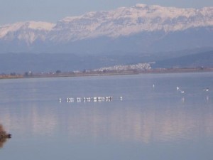 Αμβρακικός (2)