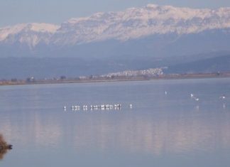 8ος Διάπλους του Αμβρακικού