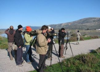 Μεσοχειμωνιάτικες Καταμετρήσεις Πουλιών2014