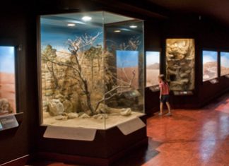 Συνεργασία του Φορέα Διαχείρισης Λιμνοθάλασσας Μεσολογγίου με το Μουσείο Φυσικής Ιστορίας Κρήτης