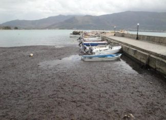 Γέμισε από φύκια και σκουπίδια το λιμάνι στη Πογωνιά