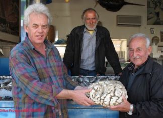 Το άδειο “μυαλό” του βυθού