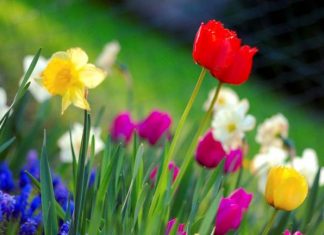 Θα ναι σα να μπαίνει η Άνοιξη…