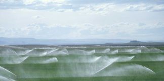 Ρύθμιση χρεών ζητούν οι ΓΟΕΒ και ΤΟΕΒ – Επιστολή σε Μητσοτάκη