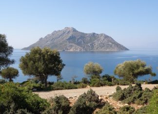 ΚΑΤΑΡαμένες επενδύσεις στην Οξυά