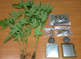 26χρονος στο Στάνο Αμφιλοχίας καλλιεργούσε… χασίς σε γλάστρες