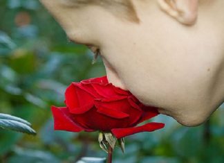 Μυρίζει …ανάμνηση