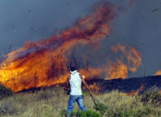 Ποινή – χάδι στους κατηγορούμενους για τις φονικές πυρκαγιές στην Ηλεία