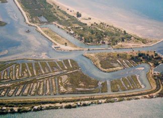 Καταργείται το …ήδη κλειστό ΙΧΘΥΚΑ