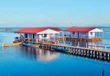 Ένα γευστικό οδοιπορικό στη Δυτική Ελλάδα