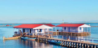 Ένα γευστικό οδοιπορικό στη Δυτική Ελλάδα