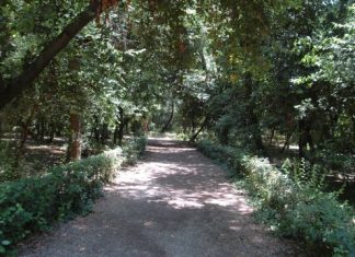 Το πάρκο είναι δάσος