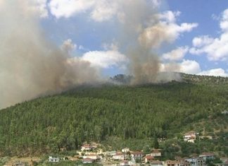 Η αγωνία ενός εθελοντή