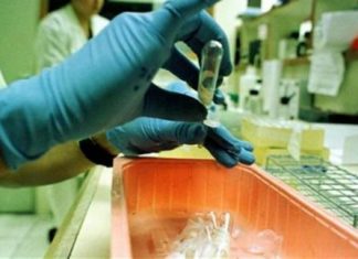 Κρούσμα Δάγγειου πυρετού στο Αγρίνιο – Μετά από 85 χρόνια στην Ελλάδα…