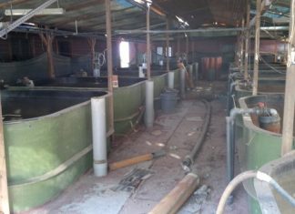 Με δάνειο θα προχωρήσει ο δήμος Μεσολογγίου στην εξαγορά του ΙΧΘΥΚΑ