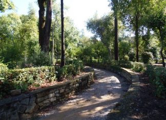 Σχόλια και προτάσεις για το πάρκο