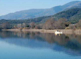 Λίμνη Τριχωνίδα : Aσβεστούχοι βάλτοι, από τα πιο σημαντικά οικοσυστήματα της Ελλάδας!