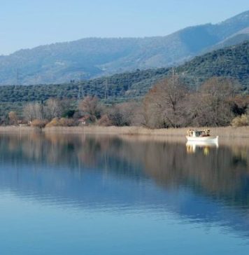 Λίμνη Τριχωνίδα : Aσβεστούχοι βάλτοι, από τα πιο σημαντικά οικοσυστήματα της Ελλάδας!
