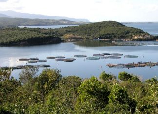 Ξηρόμερο: Υπάρχει αρκετός χώρος για να χωροθετηθούν ιχθυοκαλλιέργειες σε σημεία που δεν ενοχλούν.