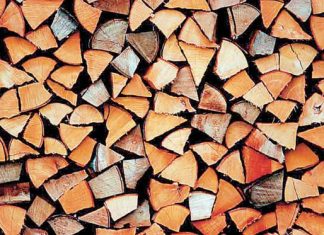 Πλαφόν στις ποσότητες καυσόξυλων που θα κόβουν οι πολίτες