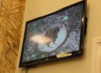 Η απαξίωση σε εικόνες