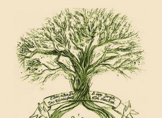 Kοινωνική αλληλεγγύη από Γυμνάσιο και Λύκειο Mαταράγκας