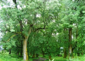 Εναλλακτικός τουρισμός, η «βαριά βιομηχανία» μας
