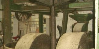 Hμερίδα στο Αγρίνιο με θέμα: «Το ελαιοτριβείο και η πλατφόρμα myDATA»