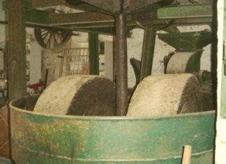 Δυτική Ελλάδα : 450.000 ευρώ πρόστιμα στα πυρηνελαιουργεία