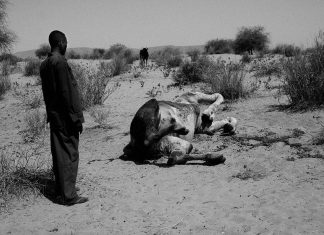 Έκθεση φωτογραφίας του Νεκτάριου Μαρκογιάννη στο Μεσολόγγι